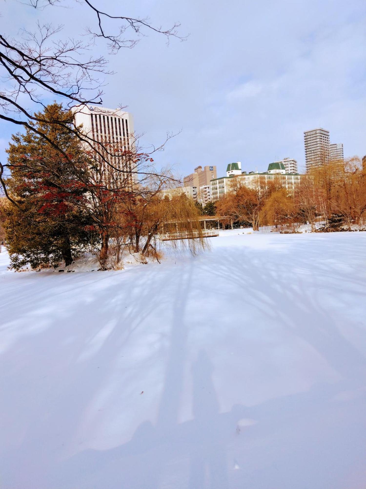 Aup178 Lägenhet Sapporo Exteriör bild